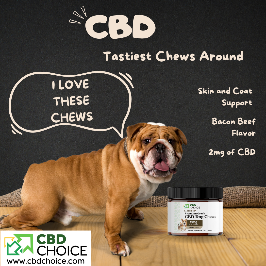 Can CBD Help Your Pet? Unveiling the Potential Benefits