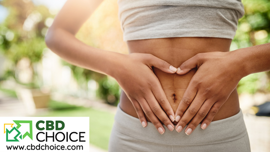 CBD and Gut Health: A Natural Approach to Digestive Wellness