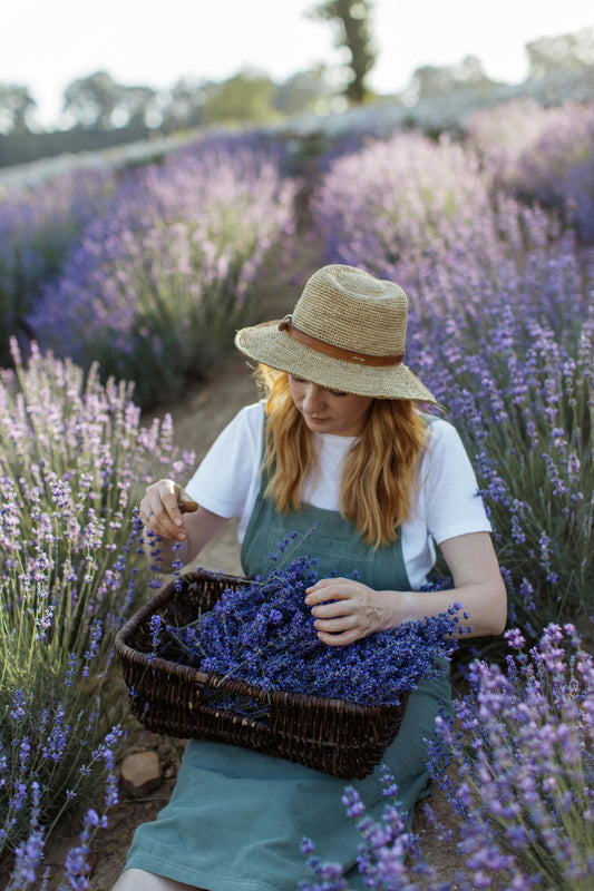 Organic CBD Salve: Soothe and Nourish Your Skin with Lavender and Eucalyptus